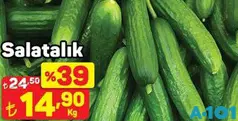 SALATALIK KG fiyat ve kampanya bilgisi